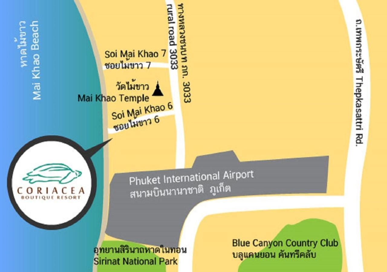Coriacea Beachfront Boutique Phuket Resort - Sha Plus Maikhau-part Kültér fotó